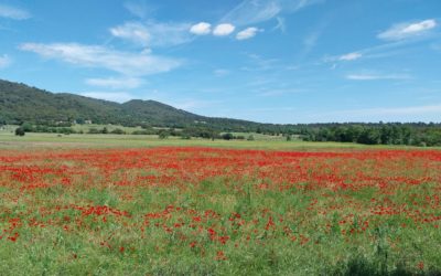 Ouvrez grand les yeux… 2026 arrive !